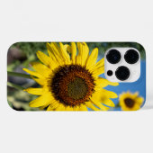 Lebhafte Sonnenblumen Case-Mate iPhone Hülle (Rückseite (Horizontal))