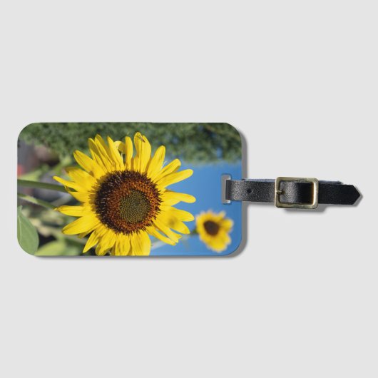 Lebhafte Sonnenblumen Gepäckanhänger (Vorderseite (Horizontal))