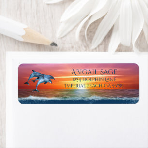 Lebhafte Sunset Delphins Jumping Ocean Address