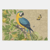 Lebhafte tropische Vögel Kunst Exotischer Dschunge Geschenkpapier Set (Vorderseite 3)