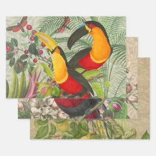 Lebhafte tropische Vögel Kunst Exotischer Dschunge Geschenkpapier Set