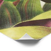 Lebhafte tropische Vögel Kunst Exotischer Dschunge Poster (Ecke)