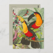 Lebhafte tropische Vögel Kunst Exotischer Dschunge Postkarte (Vorne/Hinten)