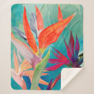 Lebhafte Vögel des Paradieses Sherpadecke