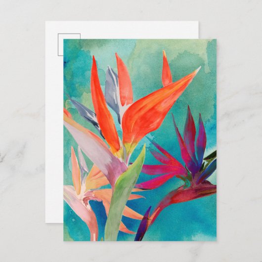 Lebhafte Vögel im Paradies Postkarte (Vorne/Hinten)