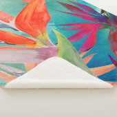 Lebhafte Vögel im Paradies Sherpadecke (3/4)