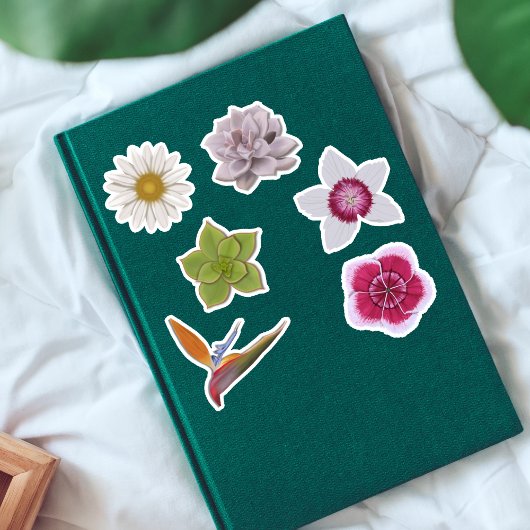 Lebhafte, von Hand Gezeichnet Wildblume & Sukkulen Aufkleber