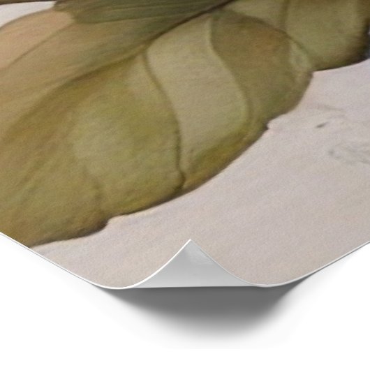 Lebhafte Wasserfarben Bird Flora Art Inspiriert Poster (Ecke)