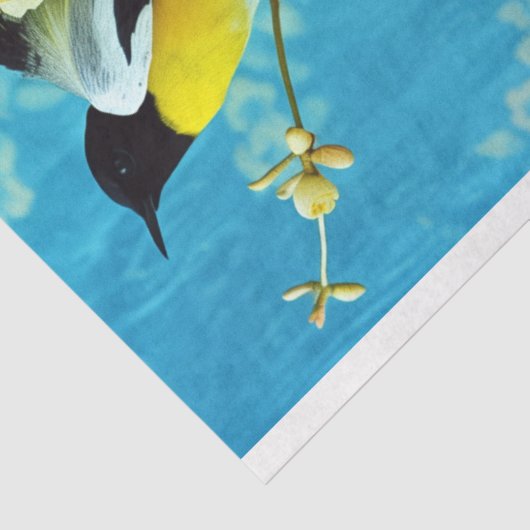 Lebhafter blauer gelber Blumenkäfig Seidenpapier (Ausschnitt)