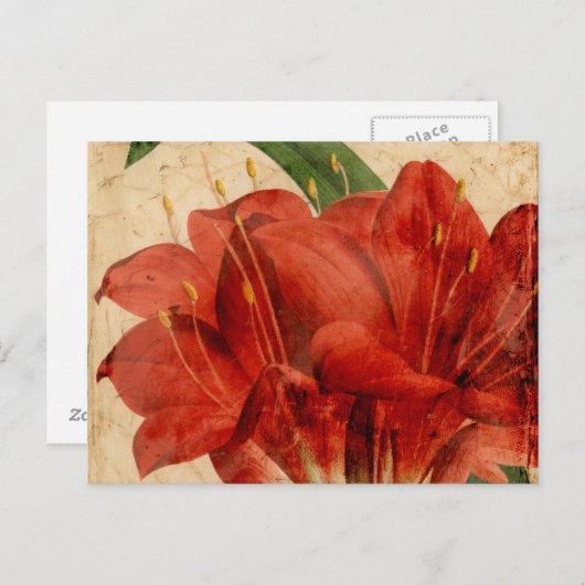 Lebhafter Blumenstrauß VIII Postkarte (Vorne/Hinten)