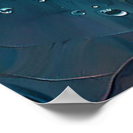 Lebhafter Bouquet mit Rose Poster (Ecke)