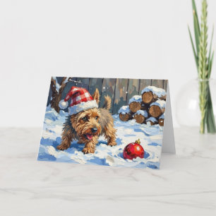 Lebhafter Cairn Terrier Hund gräbt nach Weihnachte Karte