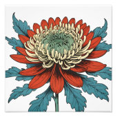 Lebhafter Chrysanthemum Splendor Fotodruck (Vorne)