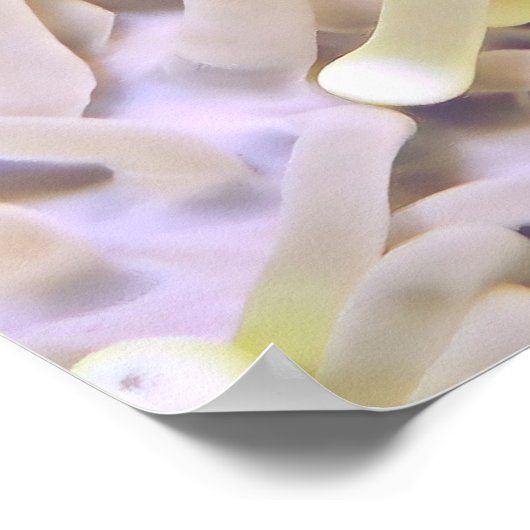 Lebhafter Clownfisch Poster (Ecke)