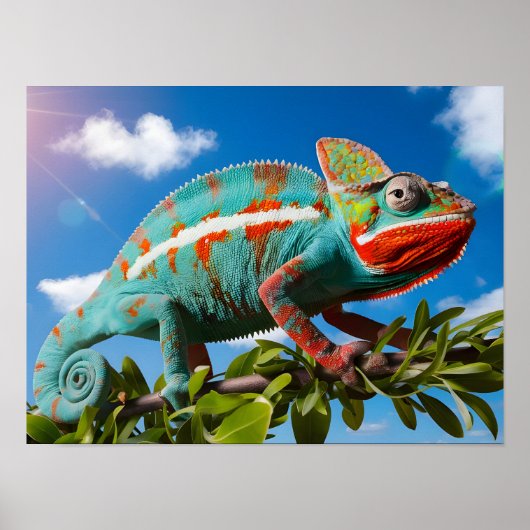 Lebhafter farbenfroher Chameleon auf blauem Hinter Poster (Vorne)
