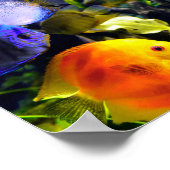 Lebhafter, farbenfroher Fisch aus dem tropischen M Poster (Ecke)
