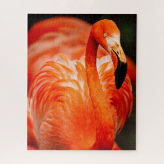 Lebhafter Flamingo Wildlife Bird Puzzle