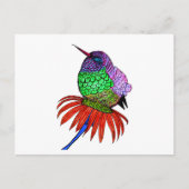 Lebhafter Fluffy Baby Hummingbird Postkarte (Vorderseite)