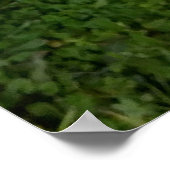 Lebhafter, gelber Hibiskus Bloom Poster (Ecke)