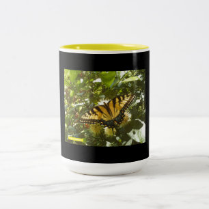 Lebhafter Gelber Monarch Zweifarbige Tasse