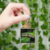 Lebhafter grüner Schlüsselanhänger (Hand)