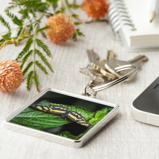 Lebhafter grüner Schlüsselanhänger (Seite)