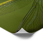 Lebhafter Hawker Dragonfly Nah Up - Wildlife Foto Poster (Ecke)
