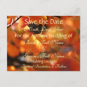 Lebhafter Herbst Save the Date Hochzeitskarte Ankündigungspostkarte