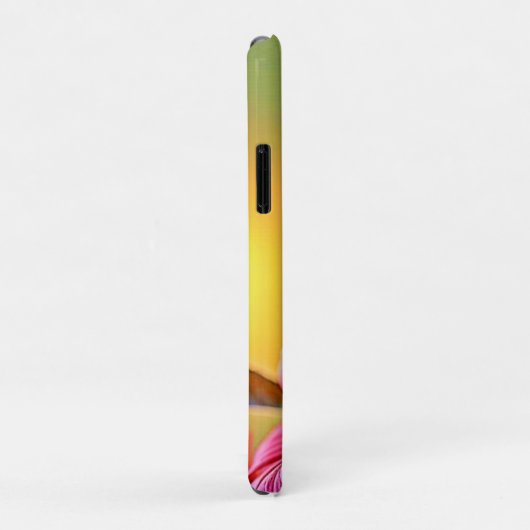 Lebhafter Hummingbird im Sunset Design Case-Mate iPhone Hülle (Hinten/Rechts)