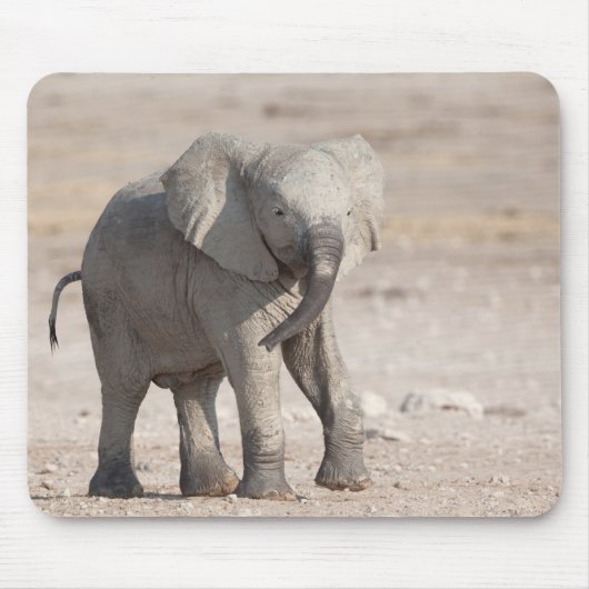 Lebhafter junger Elefant Mousepad (Vorne)