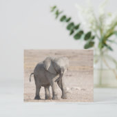 Lebhafter junger Elefant Postkarte (Stehend Vorderseite)