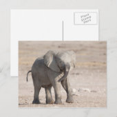 Lebhafter junger Elefant Postkarte (Vorne/Hinten)
