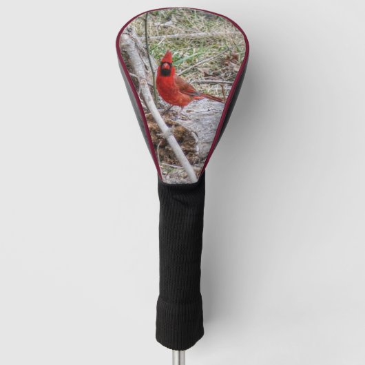Lebhafter Kardinal Golf Headcover (Vorderseite)