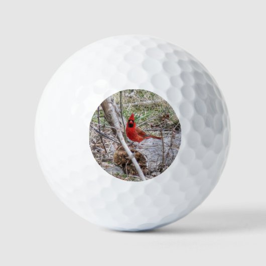 Lebhafter Kardinal Golfball (Vorderseite)