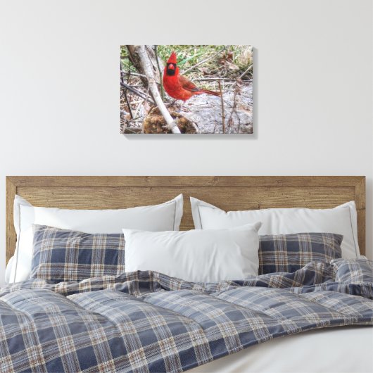 Lebhafter Kardinal Leinwanddruck (Insitu (Schlafzimmer))
