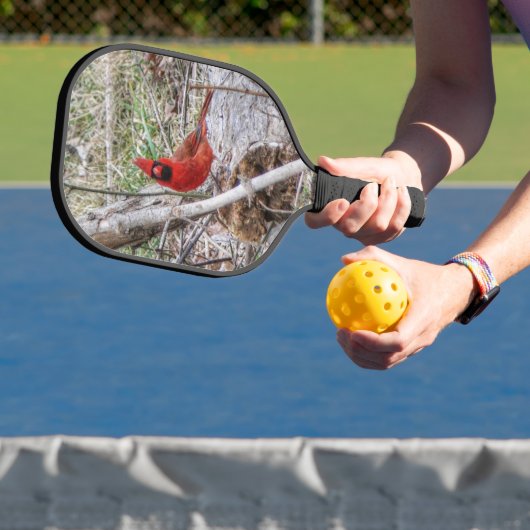 Lebhafter Kardinal Pickleball Schläger (InSitu)