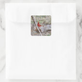 Lebhafter Kardinal Quadratischer Aufkleber (Tasche)