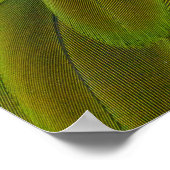 Lebhafter Macaw-Papagei in der Profilansicht Poster (Ecke)