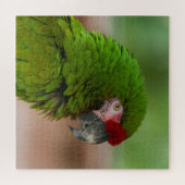 Lebhafter Macaw-Papagei in der Profilansicht Puzzle (Horizontal)