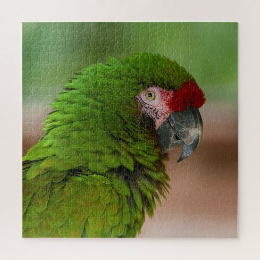 Lebhafter Macaw-Papagei in der Profilansicht Puzzle (Vertikal)