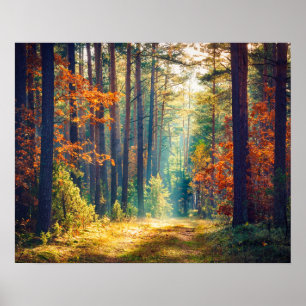 Lebhafter Morgen im farbenfrohen Wald mit Sonnenst Poster
