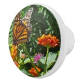 Lebhafter Orange Monarch Schmetterling auf Blume Keramikknauf (Rechts)