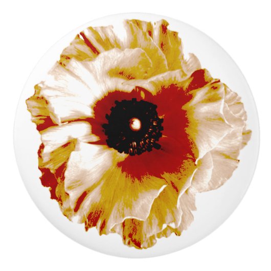 lebhafter Ranunculus Keramikknauf (Vorderseite)