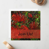 Lebhafter Red Orange Firebush Mitteilungskarte (Vorderseite/Rückseite Beispiel)