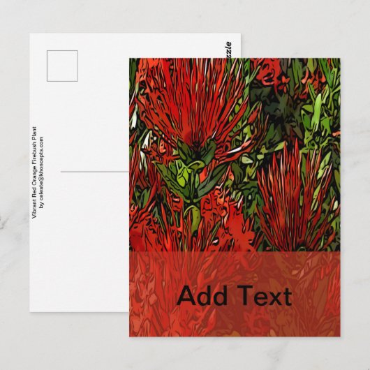 Lebhafter Red Orange Firebush Postkarte (Vorne/Hinten)
