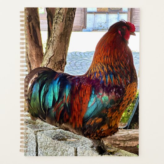 Lebhafter Rooster-Custom-Planer Planer (Vorderseite)