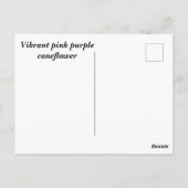 Lebhafter, rosa lila Sitzkissen Postkarte (Rückseite)