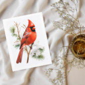 Lebhafter Roter Kardinal im Winter - Grußwagen Postkarte