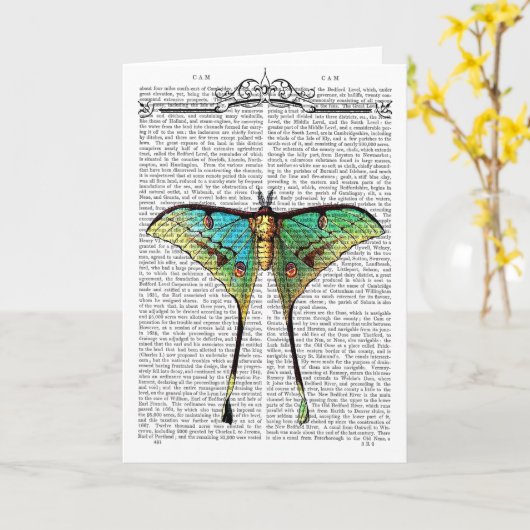 Lebhafter Schmetterling Karte (Gelbe Blume)