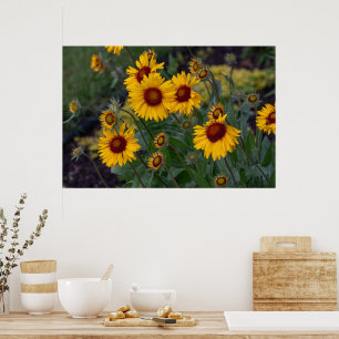 Lebhafter Sonnenschein: Orangefarbene Sonnenblumen Poster